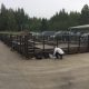Sourcet stålplatform - Q-inspektion
